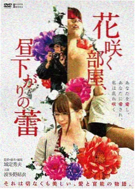 玻璃海岸 剧情电影 p站视频在线观看